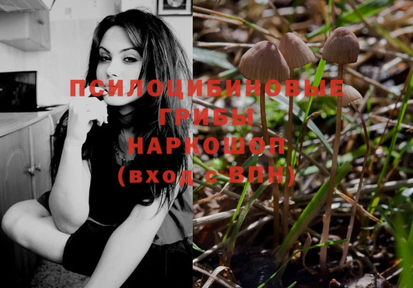гашик Приозерск